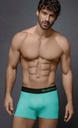 BOXER ALG LYCRA LISO ELASTICO NEGRO
