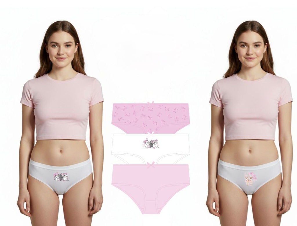 PACK X 3 BOMBACHA CULOTTE NENA ALG. LINEA NAVIDAD ROSAS