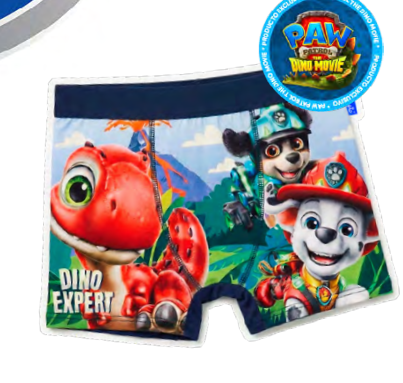 INV. BOXER DE MODAL SUBLIMADO "PAW PATROL"